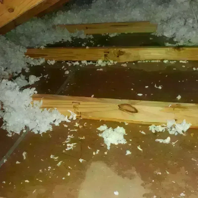 Attic Water Damage in Henry County, VA